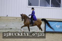 25BUCKEYE_07522 thumbnail