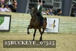 25BUCKEYE_07525 thumbnail