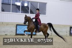 25BUCKEYE_07526 thumbnail