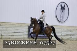 25BUCKEYE_07527 thumbnail