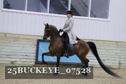 25BUCKEYE_07528 thumbnail