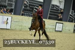 25BUCKEYE_07530 thumbnail
