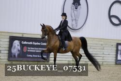 25BUCKEYE_07531 thumbnail