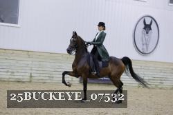 25BUCKEYE_07532 thumbnail