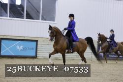 25BUCKEYE_07533 thumbnail