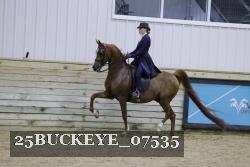 25BUCKEYE_07535 thumbnail