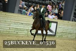 25BUCKEYE_07536 thumbnail