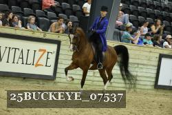 25BUCKEYE_07537 thumbnail