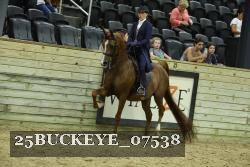 25BUCKEYE_07538 thumbnail