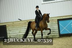 25BUCKEYE_07539 thumbnail