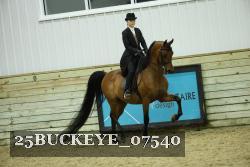 25BUCKEYE_07540 thumbnail