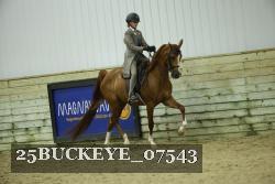 25BUCKEYE_07543 thumbnail