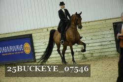 25BUCKEYE_07546 thumbnail