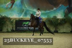 25BUCKEYE_07553 thumbnail