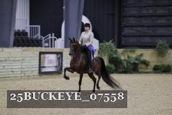 25BUCKEYE_07558 thumbnail