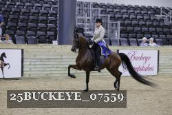 25BUCKEYE_07559 thumbnail