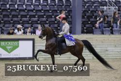 25BUCKEYE_07560 thumbnail