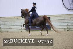 25BUCKEYE_07752 thumbnail