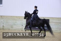 25BUCKEYE_07754 thumbnail