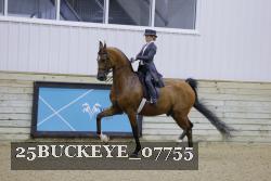 25BUCKEYE_07755 thumbnail