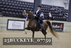 25BUCKEYE_07759 thumbnail