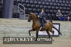 25BUCKEYE_07760 thumbnail