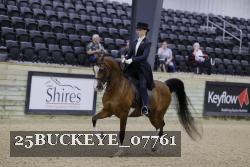 25BUCKEYE_07761 thumbnail
