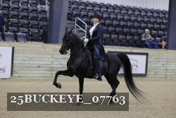25BUCKEYE_07763 thumbnail