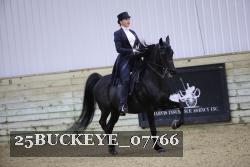 25BUCKEYE_07766 thumbnail