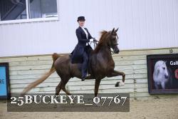 25BUCKEYE_07767 thumbnail