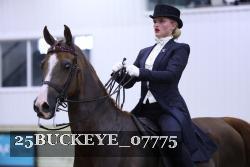 25BUCKEYE_07775 thumbnail