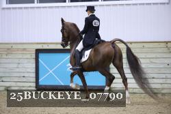 25BUCKEYE_07790 thumbnail