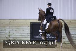 25BUCKEYE_07791 thumbnail