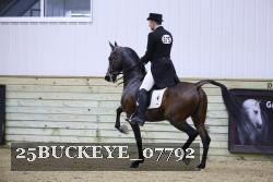 25BUCKEYE_07792 thumbnail