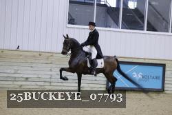 25BUCKEYE_07793 thumbnail
