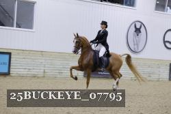 25BUCKEYE_07795 thumbnail