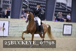 25BUCKEYE_07798 thumbnail