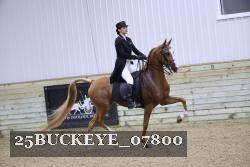 25BUCKEYE_07800 thumbnail