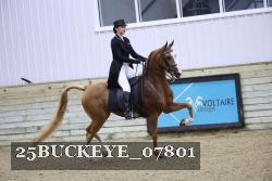 25BUCKEYE_07801 thumbnail