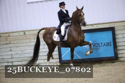 25BUCKEYE_07802 thumbnail