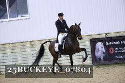 25BUCKEYE_07804 thumbnail