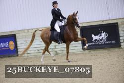 25BUCKEYE_07805 thumbnail