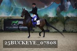 25BUCKEYE_07808 thumbnail