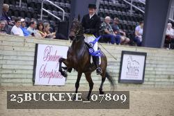 25BUCKEYE_07809 thumbnail