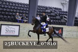 25BUCKEYE_07810 thumbnail