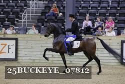 25BUCKEYE_07812 thumbnail