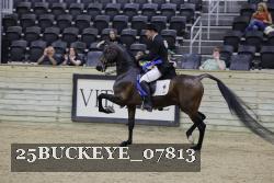 25BUCKEYE_07813 thumbnail