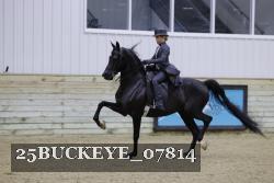 25BUCKEYE_07814 thumbnail