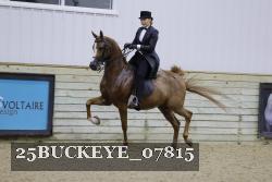 25BUCKEYE_07815 thumbnail
