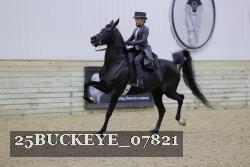 25BUCKEYE_07821 thumbnail